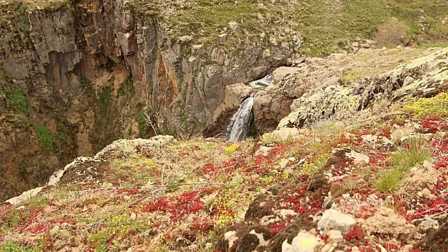 Yağışların Ardından Uçak Şelalesi'nde Eşsiz Manzara