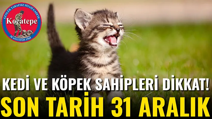 Kedi Ve Köpek Sahipleri Dikkat! Son Tarih 31 Aralık