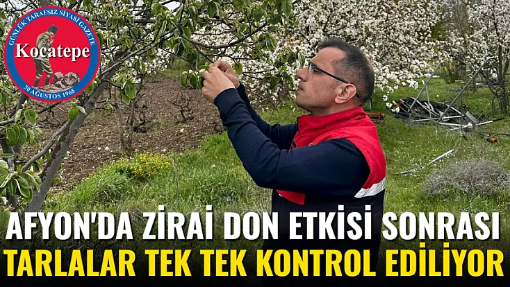 Afyon'da Zirai Don Etkisi Sonrası Tarlalar Tek Tek Kontrol Ediliyor