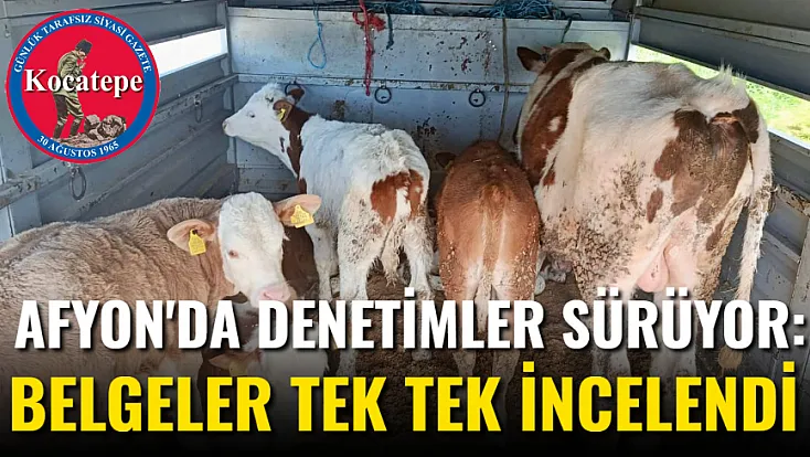 Afyon'da Denetimler Sürüyor: Belgeler Tek Tek İncelendi