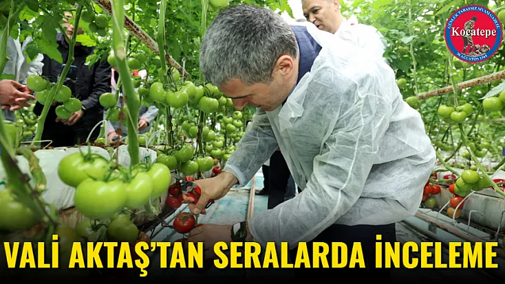 Vali Aktaş’tan Seralarda İnceleme