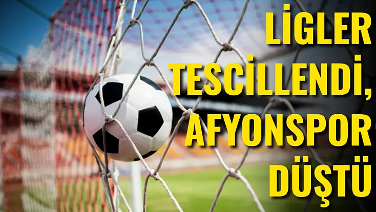 2. ve 3. Lig'ler Tescil edildi