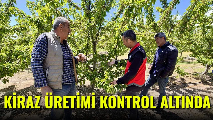 Kiraz Üretimi Kontrol Altında