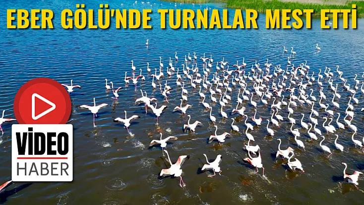 Eber Gölü'ndeki Allı Turnalar Mest Etti