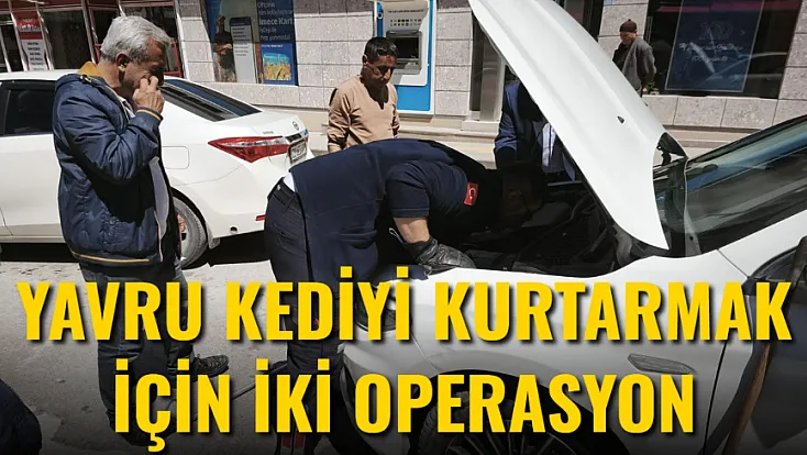 Yavru Kediyi Kurtarmak İçin İki Operasyon