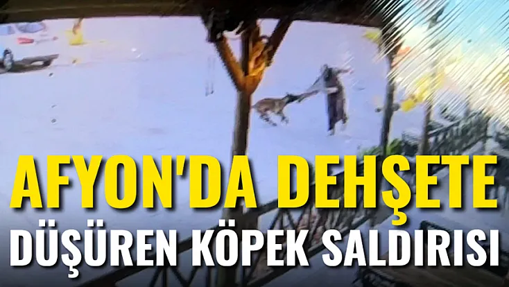 Afyon'da Dehşete Düşüren Köpek Saldırısı