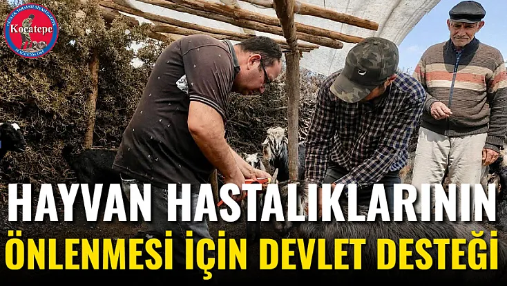 Hayvan Hastalıklarının Önlenmesi İçin Devlet Desteği