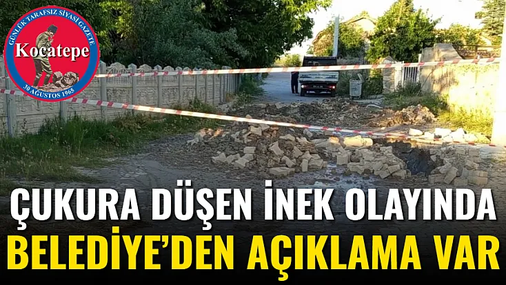 Çukura Düşen İnek Olayında Belediye’den Açıklama Var