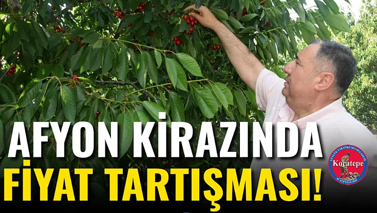 Afyon Kirazında Fiyat Tartışması!