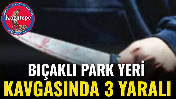Bıçaklı Park Yeri Kavgasında 3 Yaralı