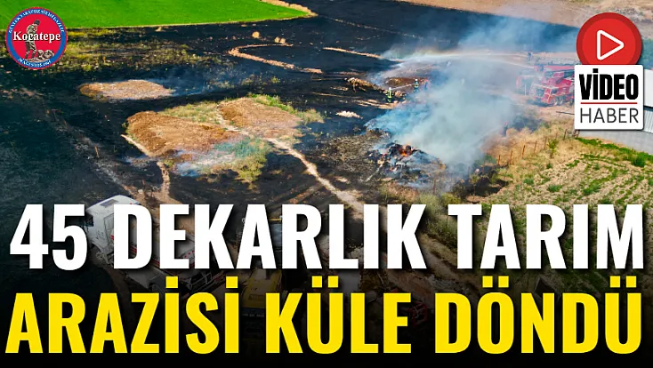 45 Dekarlık Tarım Arazisi Küle Döndü