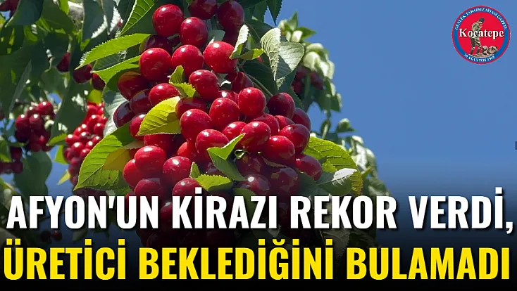 Afyon'un Kirazı Rekor Verdi, Üretici Beklediğini Bulamadı
