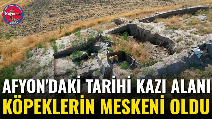 Afyon'daki Tarihi Kazı Alanı Köpeklerin Meskeni Oldu
