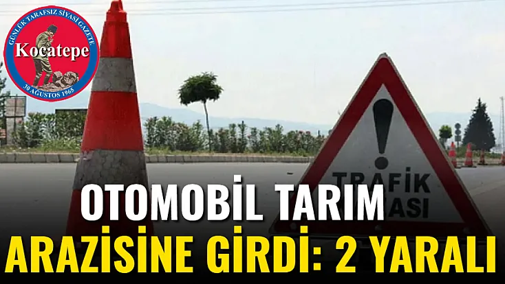 Otomobil Tarım Arazisine Girdi: 2 Yaralı