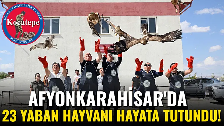 Afyon'da 23 Yaban Hayvanı Hayata Tutundu!