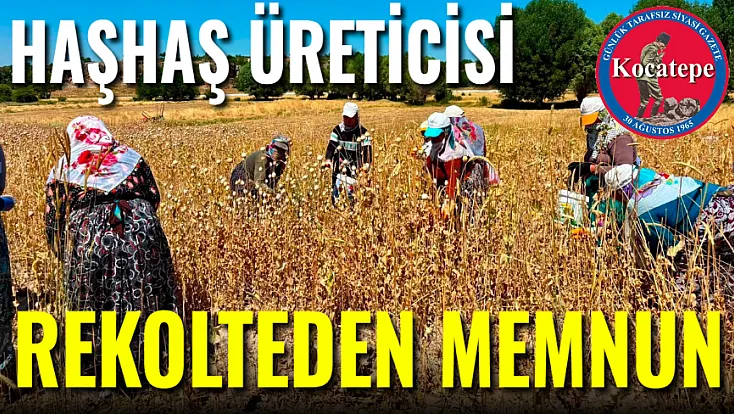 Haşhaş Üreticisi Rekolteden Memnun