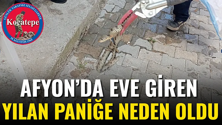 Afyon’da Eve Giren Yılan Paniğe Neden Oldu