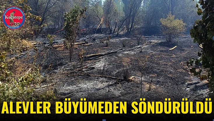 Alevler Büyümeden Söndürüldü