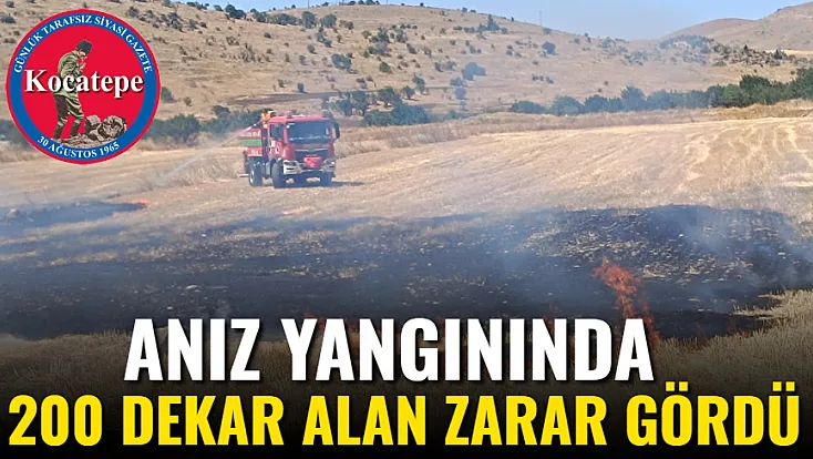 Anız Yangınında 200 Dekar Alan Zarar Gördü