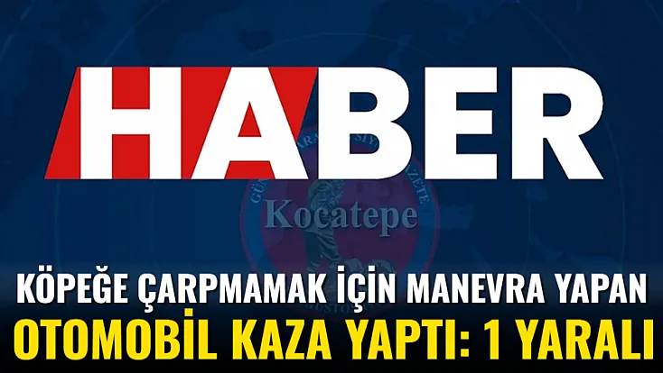 Köpeğe Çarpmamak İçin Manevra Yapan Otomobil Kaza Yaptı: 1 Yaralı