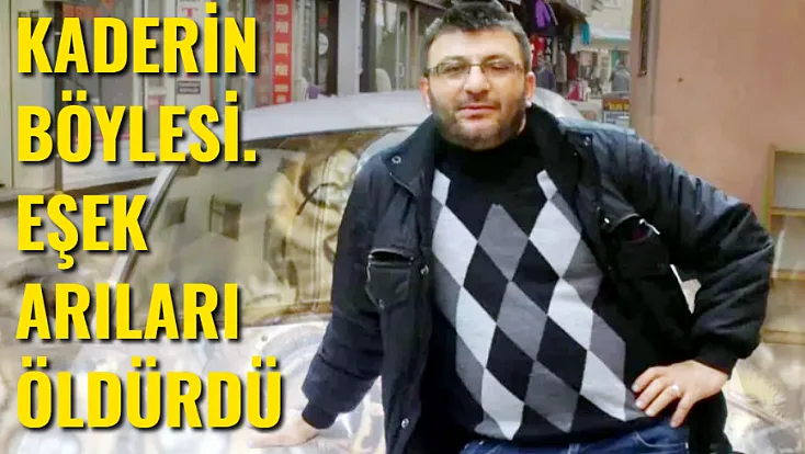 Kaderin Böylesi. Eşek Arıları Öldürdü