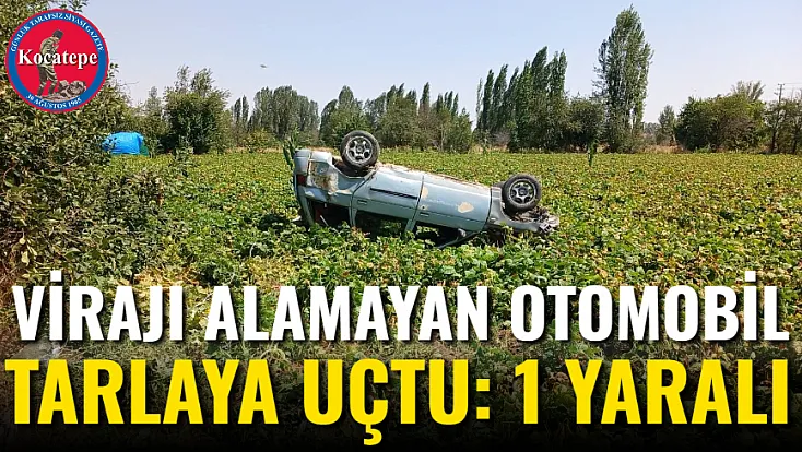 Virajı Alamayan Otomobil Tarlaya Uçtu: 1 Yaralı