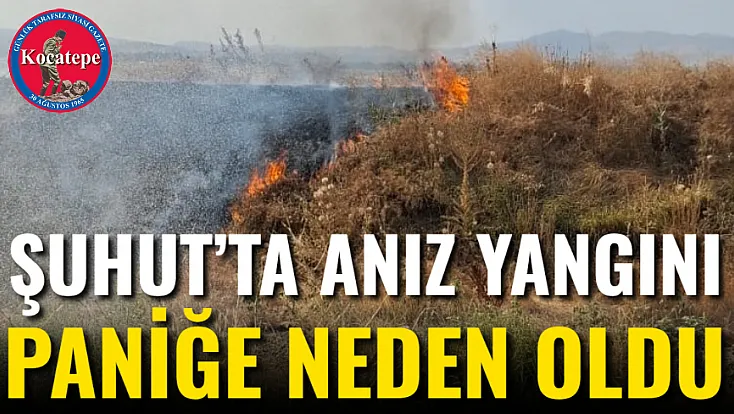 Şuhut’ta Anız Yangını Paniğe Neden Oldu