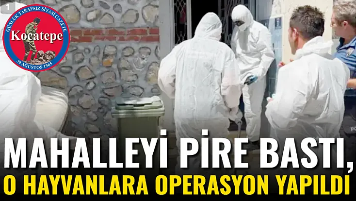 Mahalleyi Pire Bastı, O Hayvanlara Operasyon Yapıldı