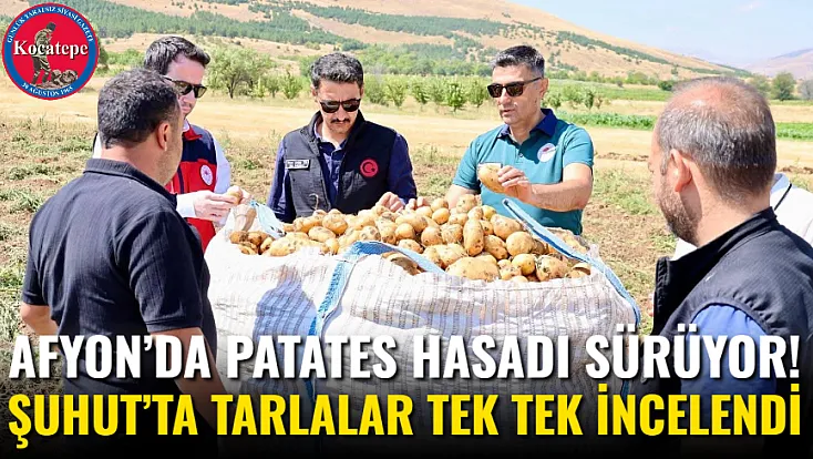 Afyon’da Patates Hasadı Sürüyor! Şuhut’ta Tarlalar Tek Tek İncelendi