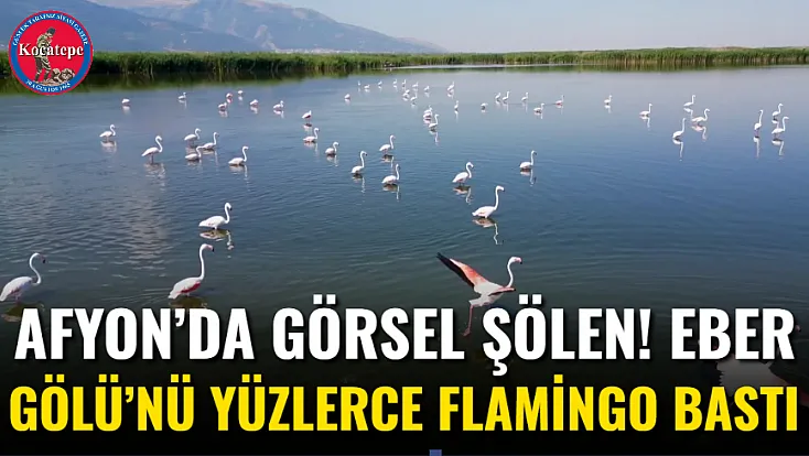 Afyon’da Görsel Şölen! Eber Gölü’nü Yüzlerce Flamingo Bastı