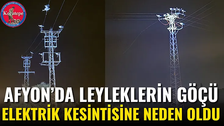 Afyon’da Leyleklerin Göçü Elektrik Kesintisine Neden Oldu