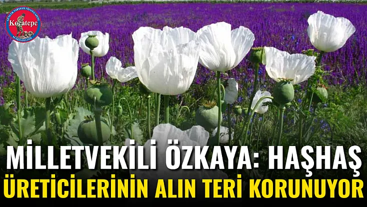 Milletvekili Özkaya: Haşhaş Üreticilerinin Alın Teri Korunuyor