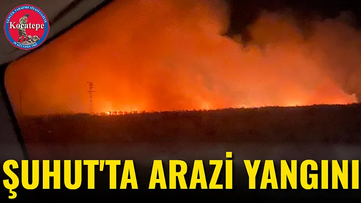Şuhut'ta Arazi Yangını