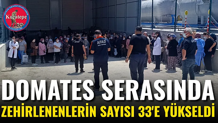 Domates Serasında Zehirlenenlerin Sayısı 33'e Yükseldi