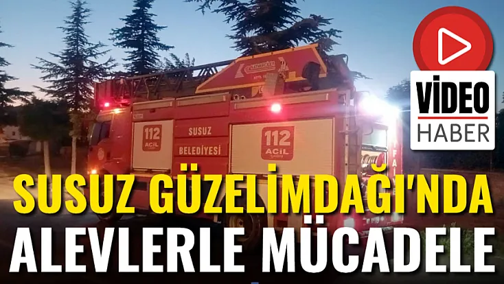 Susuz Güzelimdağı'nda Alevlerle Mücadele