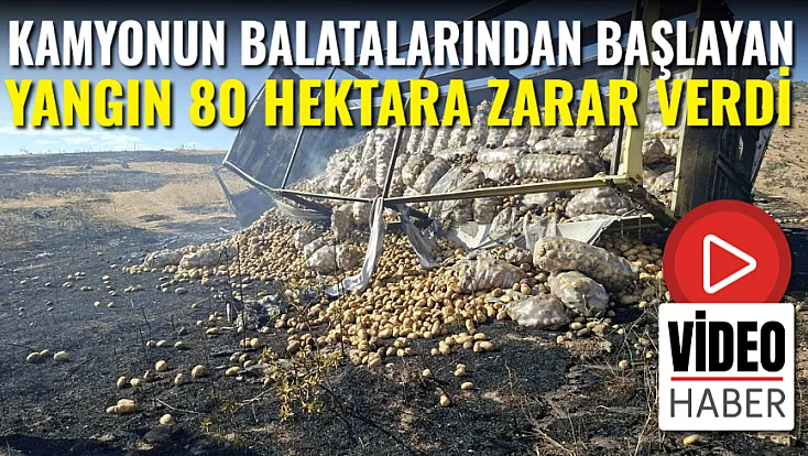 Kamyonun Balatalarından Başlayan Yangın 80 Hektara Zarar Verdi