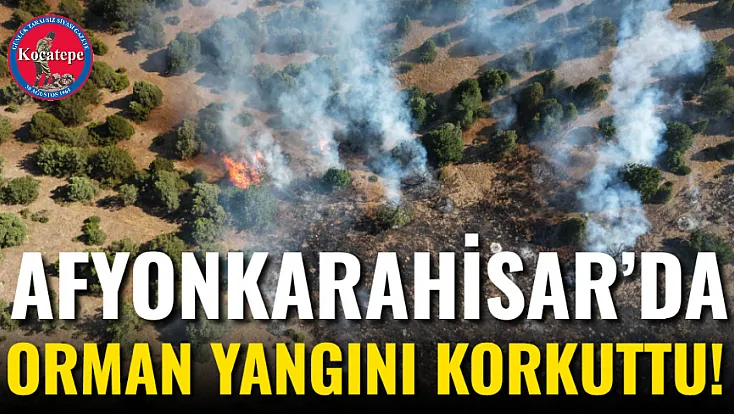 Afyon’da Orman Yangını Korkuttu!