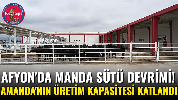 Afyon'da Manda Sütü Devrimi! AMANDA'nın Üretim Kapasitesi Katlandı