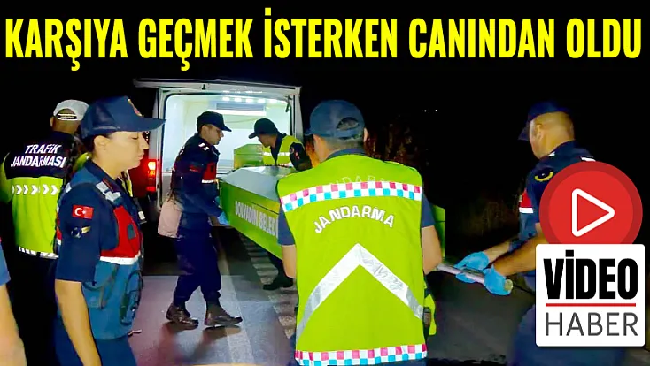 Karşıya Geçmek İsterken Canından Oldu