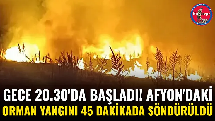 Gece 20.30'da başladı! Afyon'daki Orman Yangını 45 Dakikada Söndürüldü
