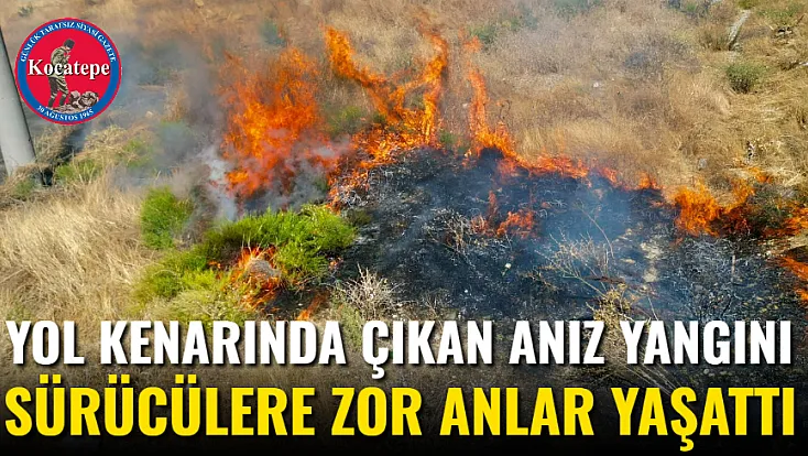 Afyon’da Yol Kenarında Anız Yangını! Sürücüler Zor Anlar Yaşadı