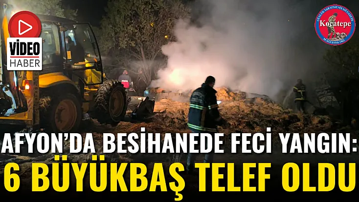 Afyon’da Besihanede Feci Yangın: 6 Büyükbaş Telef Oldu