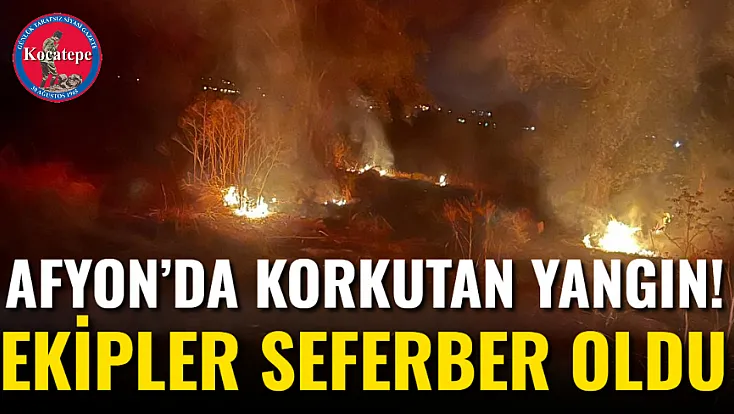 Afyon’da Korkutan Yangın! Ekipler Seferber Oldu