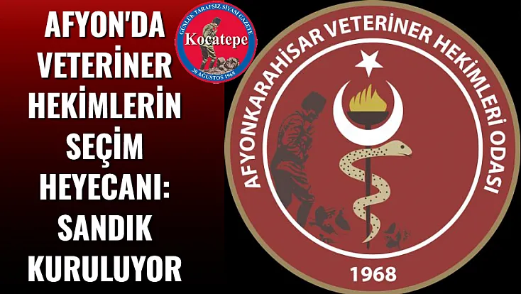 Afyon'da Veteriner Hekimlerin Seçim Heyecanı: Sandık Kuruluyor