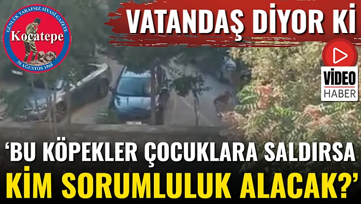 ‘Bu köpekler çocuklara saldırsa kim sorumluluk alacak?’