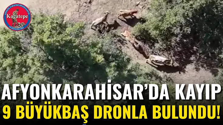 Afyon’da Kayıp 9 Büyükbaş Dronla Bulundu!