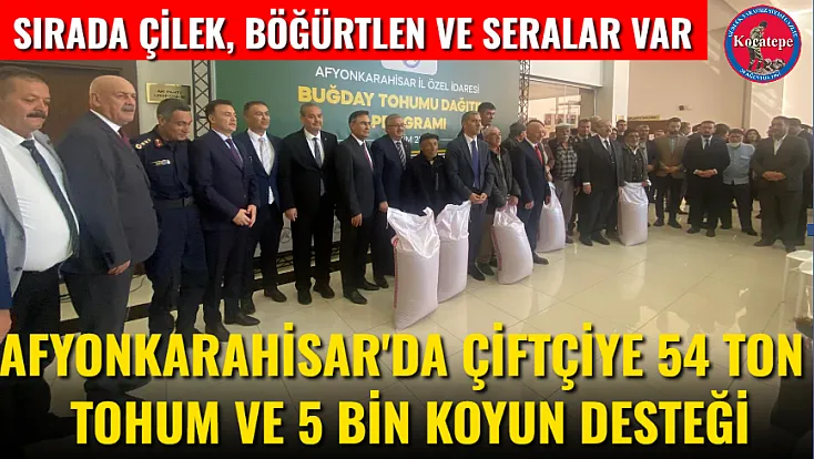 Sırada Çilek, Böğürtlen Ve Seralar Var Afyonkarahisar'da Çiftçiye 54 Ton Tohum Ve 5 Bin Koyun Desteği