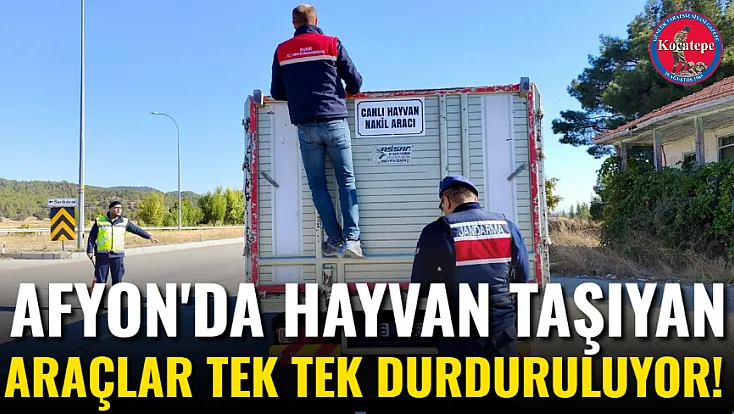 Afyon'da Hayvan Taşıyan Araçlar Tek Tek Durduruluyor!
