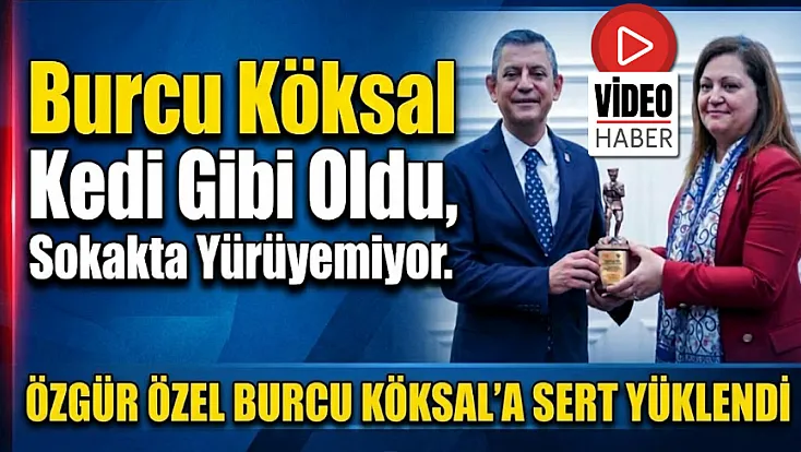 Burcu Köksal Kedi Gibi Oldu, Sokakta Yürüyemiyor. Siyasi Yankesicisiniz!