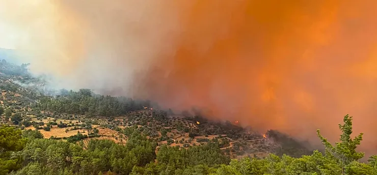 Altınoluk'taki Yangında Son Durum! Havadan ve Karadan Müdahale Devam Ediyor